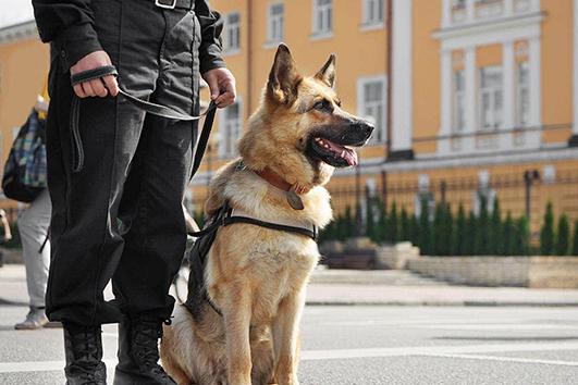 construction site security